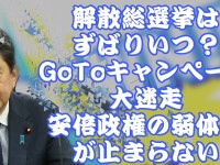 年内解散総選挙が確率7割？！不確定要素があるとすれば、やはり五輪・パラリンピックか