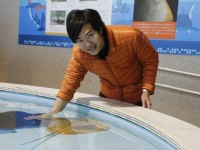 水族館は、レジャー施設か文化施設か？