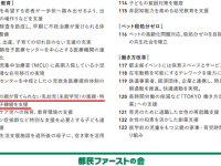 里親委託・特別養子縁組の促進…「社会的擁護・児童養護」分野の海外視察で大苦戦した話