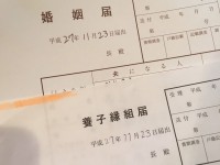 最近結婚＆養子縁組した都議会議員だけど、夫婦別姓について検証してみる