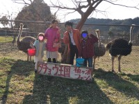 家族連れにオススメの隠れ名スポット「ダチョウ王国」をご紹介します【雑談】