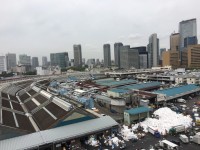 築地市場の電気代は、年間10億円弱！電力自由化で、節約・節税の可能性は？