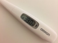 家族内感染で、おときた家はぜんめつしました…【雑談】