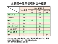 クロマグロの漁獲量、あっさり規制上限を突破。「早い者勝ち方式」から一刻も早い脱却を！