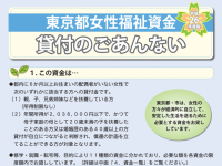 どこまでが「格差・不平等」で、どこからが「個性・独自色」なのか？-東京都女性福祉資金を例に-