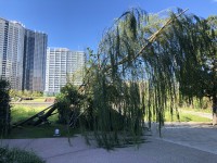 各自治体はSNS投稿の際、スクショを貼るなど工夫を。台風19号で見えた課題