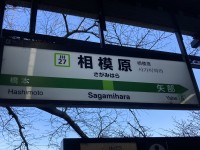 相模大野と相模原を間違えたら、アイドル認定をされた国会議員の話しする？【ほぼ雑談】