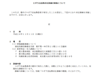 病院に行ってはいけない？！エボラ出血熱・感染症対策には、より実践的な訓練を