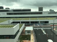 今ホット、本当はクール(？)な豊洲市場！【インターン生日記】