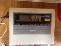 ダイエット成功で、57.5キロ→53.8キロ！絶対に失敗しない、議員流ダイエット術【雑談】