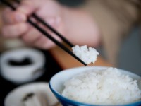 衝撃！？日本政府、公式に「炭水化物抜きダイエット」に否定的見解を示す