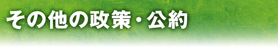 三 その他の政策・公約