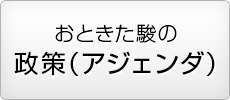 おときた駿の政策（アジェンダ）